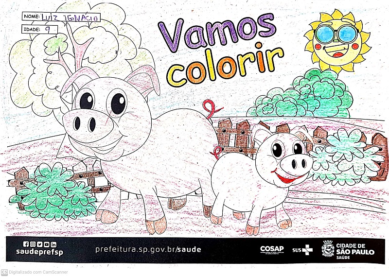 #PraCegoVer: A imagem contem a fotografia de um porquinho. A foto está colorida com as cores verde, marrom, roxo, laranja, branco, preto e vermelho